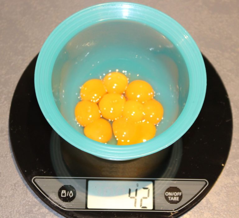 Wie viele Wachteleier sind ein Hühnerei Wir wiegen selbst nach!!