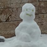 Wachteln im Winter - Schneemann