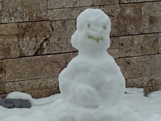 Wachteln im Winter - Schneemann