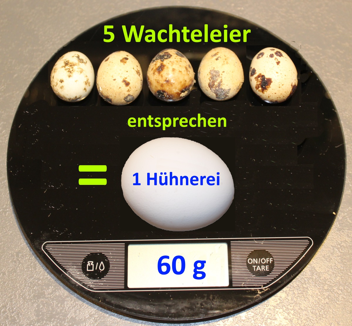 Wie viele Wachteleier sind ein Hühnerei?