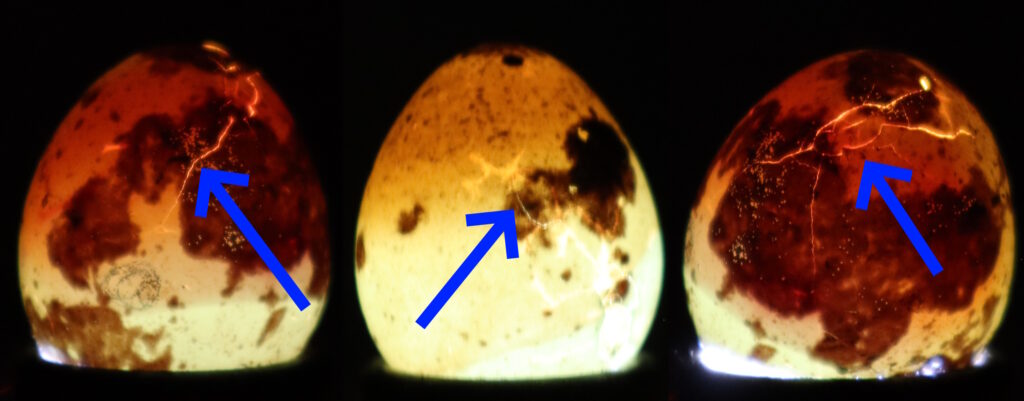 Drei Eier mit Risse in der Schale über einer Schierlampe.